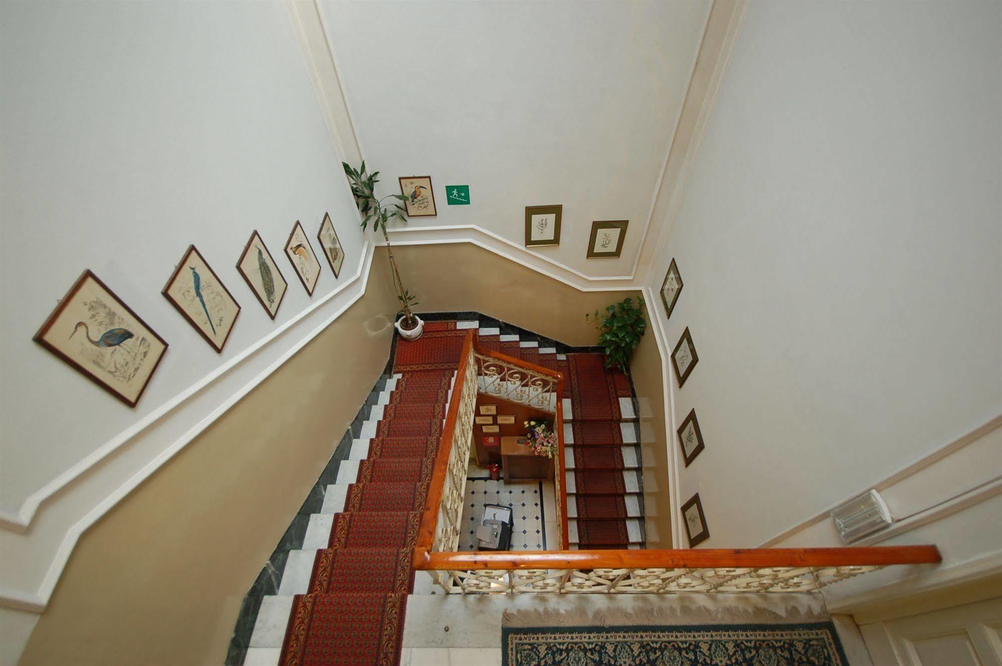 Hotel Ely Viareggio Buitenkant foto